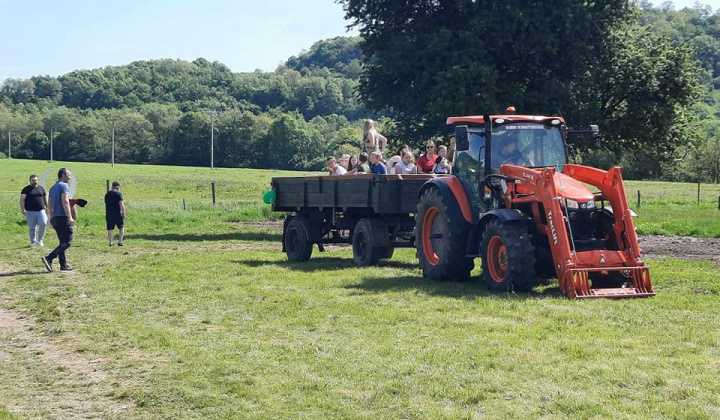 Stavanie mája  a podujatie Kravky na pašu s Farma Krnišov