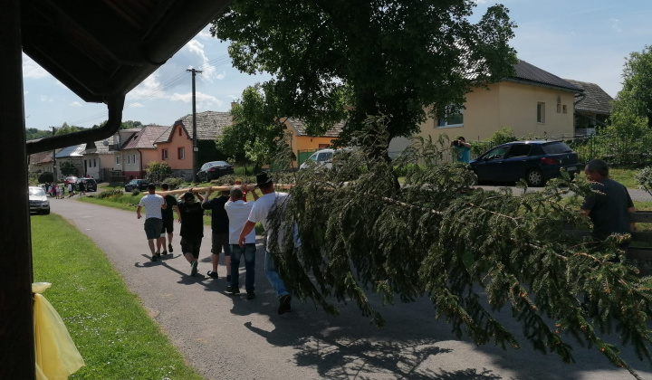 Stavanie mája  a podujatie Kravky na pašu s Farma Krnišov