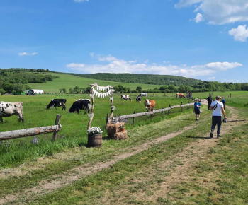 Aktuality / Stavanie mája a podujatie Kravky na pašu s Farma Krnišov - foto