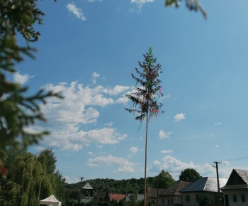 Aktuality / Stavanie mája a podujatie Kravky na pašu s Farma Krnišov - foto