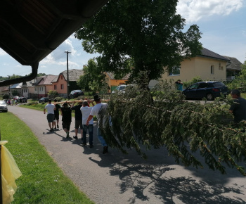 Aktuality / Stavanie mája a podujatie Kravky na pašu s Farma Krnišov - foto