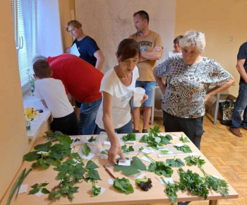 Aktuality / Popoludnie venované deťom - foto