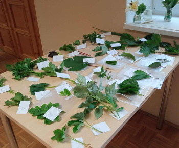 Aktuality / Popoludnie venované deťom - foto