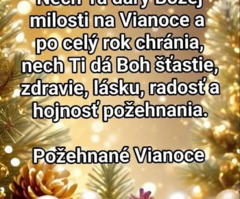 Aktuality / Krásne sviatky vianočné  - foto