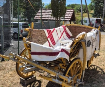 Aktuality / POZVÁNKA - foto