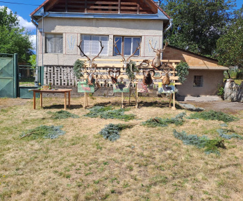 Aktuality / POZVÁNKA - foto