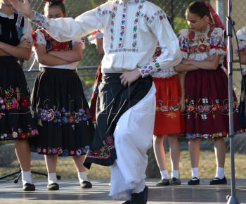 Aktuality / POZVÁNKA - foto