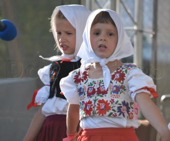 Aktuality / POZVÁNKA - foto