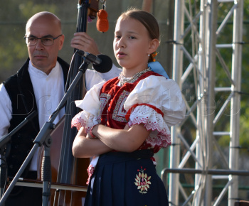 Aktuality / POZVÁNKA - foto