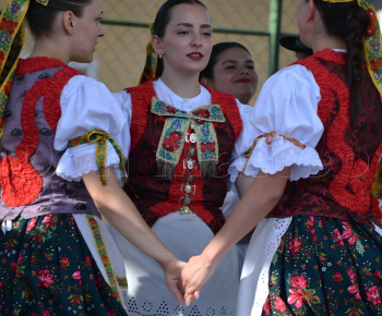 Aktuality / POZVÁNKA - foto