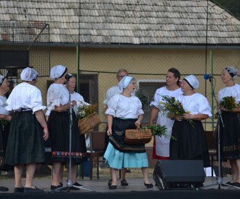 Aktuality / POZVÁNKA - foto
