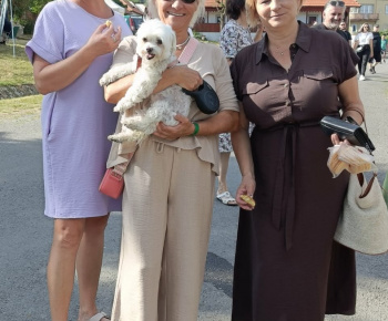 Aktuality / POZVÁNKA - foto