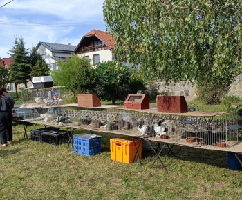 Aktuality / POZVÁNKA - foto
