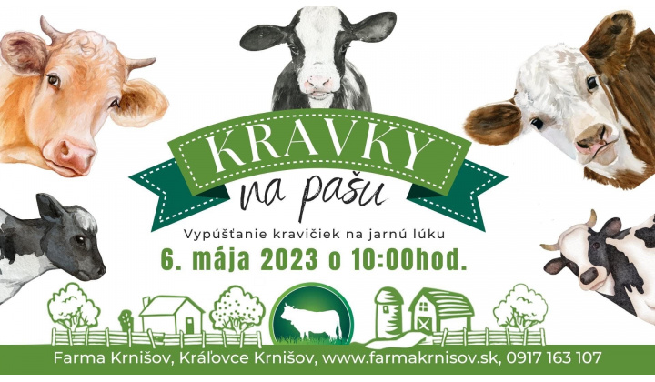 KRAVKY NA PAŠU 6. 5. 2023